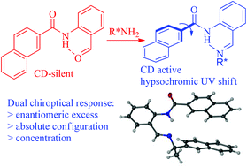 Graphical abstract: Quantitative chirality sensing of amines and amino alcohols via Schiff base formation with a stereodynamic UV/CD probe