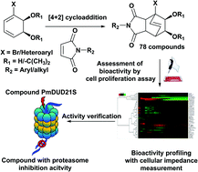 Graphical abstract: An approach to “escape from flatland”: chemo-enzymatic synthesis and biological profiling of a library of bridged bicyclic compounds