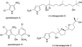 Graphical abstract: Nitropyrrole natural products: isolation, biosynthesis and total synthesis