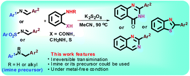 Graphical abstract: Implications of dynamic imine chemistry for the sustainable synthesis of nitrogen heterocycles via transimination followed by intramolecular cyclisation
