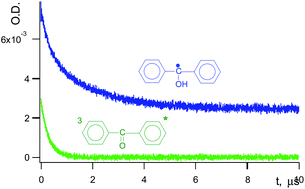 Graphical abstract: Kinetics of benzophenone ketyl free radicals recombination in a polymer: reactivity in the polymer cage vs. reactivity in the polymer bulk