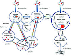 Graphical abstract: Resistance in antimicrobial photodynamic inactivation of bacteria