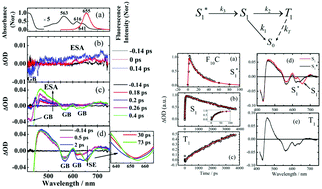 Graphical abstract: Photophysical properties of electron-deficient free-base corroles bearing meso-fluorophenyl substituents