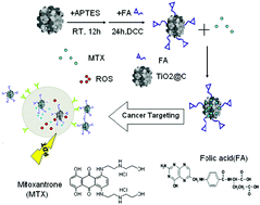 Graphical abstract: Folic acid-conjugated TiO2-doped mesoporous carbonaceous nanocomposites loaded with Mitoxantrone HCl for chemo-photodynamic therapy