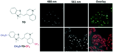 spectral dyes electron thiazole analogues tuning acceptor cyanine substituted donor orange fine rsc