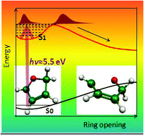 Graphical abstract: A theoretical exploration on electronically excited states of protonated furan and thiophene