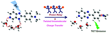 Graphical abstract: Relay proton transfer triggered twisted intramolecular charge transfer