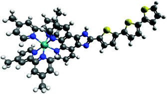 Graphical abstract: A ruthenium(ii) based photosensitizer and transferrin complexes enhance photo-physical properties, cell uptake, and photodynamic therapy safety and efficacy