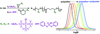 Graphical abstract: Polymerization of 5-alkyl δ-lactones catalyzed by diphenyl phosphate and their sequential organocatalytic polymerization with monosubstituted epoxides