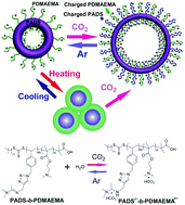 Graphical abstract: CO2- and thermo-responsive vesicles: from expansion–contraction transformation to vesicles-micelles transition