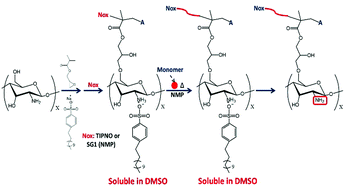 Graphical abstract: Modification of chitosan with polystyrene and poly(n-butyl acrylate) via nitroxide-mediated polymerization and grafting from approach in homogeneous media