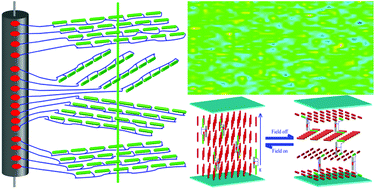 Graphical abstract: Chiral surfactants for dispersing carbon nanotubes