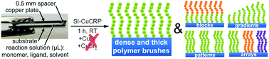 Graphical abstract: Surface-initiated Cu(0) mediated controlled radical polymerization (SI-CuCRP) using a copper plate