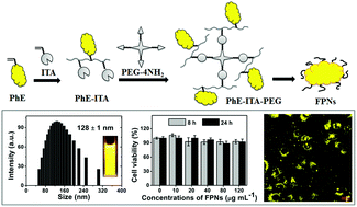 Graphical abstract: A biocompatible cross-linked fluorescent polymer prepared via ring-opening PEGylation of 4-arm PEG-amine, itaconic anhydride, and an AIE monomer