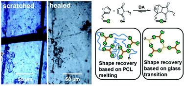 Graphical abstract: Healable shape memory (thio)urethane thermosets