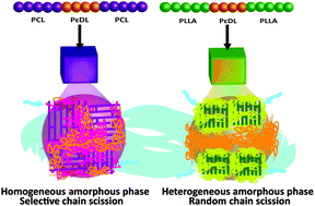 Graphical abstract: Selective degradation in aliphatic block copolyesters by controlling the heterogeneity of the amorphous phase