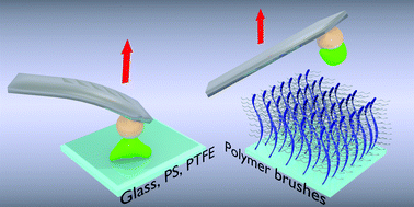 Graphical abstract: Quantifying bacterial adhesion on antifouling polymer brushes via single-cell force spectroscopy