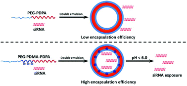 Graphical abstract: pH-sensitive triblock copolymers for efficient siRNA encapsulation and delivery