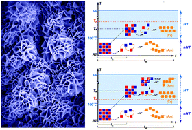 Graphical abstract: Towards a general understanding of hydrothermal polymerization of polyimides