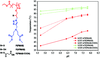 Graphical abstract: Novel pH-tunable thermoresponsive polymers displaying lower and upper critical solution temperatures