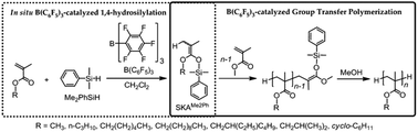 Graphical abstract: B(C6F5)3-catalyzed group transfer polymerization of alkyl methacrylates with dimethylphenylsilane through in situ formation of silyl ketene acetal by B(C6F5)3-catalyzed 1,4-hydrosilylation of methacrylate monomer