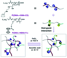 Graphical abstract: Electrochemical redox responsive supramolecular self-healing hydrogels based on host–guest interaction