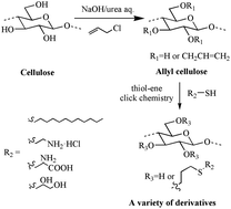 Graphical abstract: Synthesis of allyl cellulose in NaOH/urea aqueous solutions and its thiol–ene click reactions