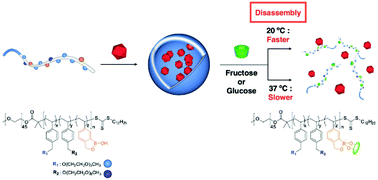 Graphical abstract: Doubly responsive polymersomes towards monosaccharides and temperature under physiologically relevant conditions