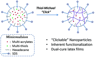 Graphical abstract: Thiol-Michael addition miniemulsion polymerizations: functional nanoparticles and reactive latex films
