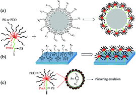 Graphical abstract: Synthesis and properties of clickable A(B-b-C)20 miktoarm star-shaped block copolymers with a terminal alkyne group