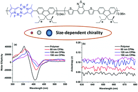 Graphical abstract: Far-red/near-infrared fluorescent conjugated polymer nanoparticles with size-dependent chirality and cell imaging applications