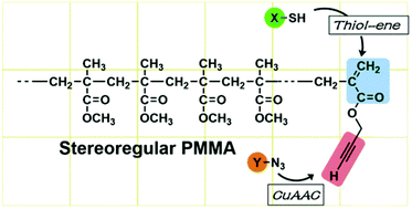 Graphical abstract: Stereoregular poly(methyl methacrylate) with double-clickable ω-end: synthesis and click reaction