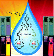 Graphical abstract: A PEGylated colorimetric and turn-on fluorescent sensor based on BODIPY for Hg(ii) detection in water