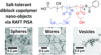 Graphical abstract: Polysulfobetaine-based diblock copolymer nano-objects via polymerization-induced self-assembly