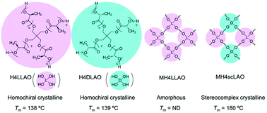 Graphical abstract: Stereocomplex formation in stereoblock copolymer networks composed of 4-armed star-shaped lactide oligomers and a 2-armed ε-caprolactone oligomer