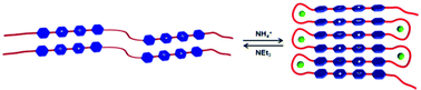 Graphical abstract: Bipyridinium radical cation dimerization-driven polymeric pleated foldamers and a homoduplex that undergo ion-tuned interconversion