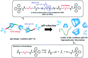 Graphical abstract: Acid-labile polyrotaxane exerting endolysosomal pH-sensitive supramolecular dissociation for therapeutic applications