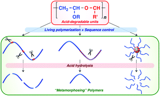 Graphical abstract: Sequence-controlled degradable polymers by controlled cationic copolymerization of vinyl ethers and aldehydes: precise placement of cleavable units at predetermined positions