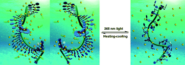 Graphical abstract: Photocontrollable induction of supramolecular chirality in achiral side chain Azo-containing polymers through preferential chiral solvation