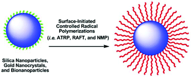 Graphical abstract: Surface-initiated controlled radical polymerizations from silica nanoparticles, gold nanocrystals, and bionanoparticles