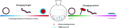 Graphical abstract: RAFT dispersion polymerization: a method to tune the morphology of thymine-containing self-assemblies