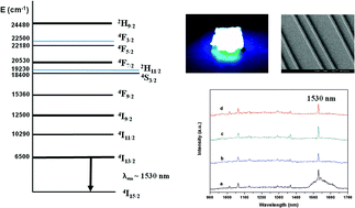 Graphical abstract: Synthesis and investigation of an erbium-containing photosensitive polymer