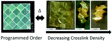 Graphical abstract: Programmed liquid crystal elastomers with tunable actuation strain