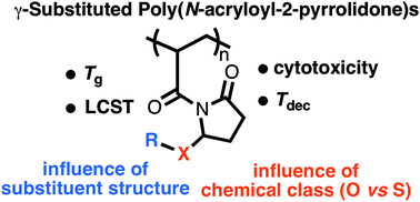 Graphical abstract: Effect of residue structure on the thermal and thermoresponsive properties of γ-substituted poly(N-acryloyl-2-pyrrolidones)