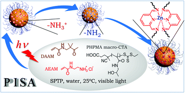 Graphical abstract: The direct synthesis of interface-decorated reactive block copolymer nanoparticles via polymerisation-induced self-assembly