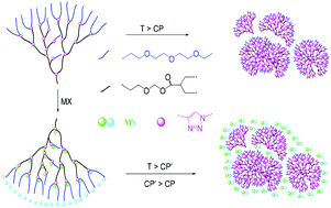 Graphical abstract: Hyperbranched poly(triazole) with thermal and metal ion dual stimuli-responsiveness