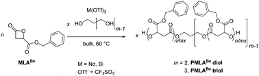 Graphical abstract: Linear and three-arm star hydroxytelechelic poly(benzyl β-malolactonate)s: a straightforward one-step synthesis through ring-opening polymerization