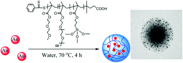 Graphical abstract: A facile synthesis of thermo-responsive Au–polymer hybrid microgels through temperature-induced co-aggregation and self-crosslinking