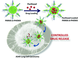 Graphical abstract: Controlled release of anticancer drug Paclitaxel using nano-structured amphiphilic star-hyperbranched block copolymers