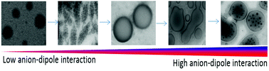 Graphical abstract: Anion–dipole interactions regulating the self-assembled nanostructures of polymers